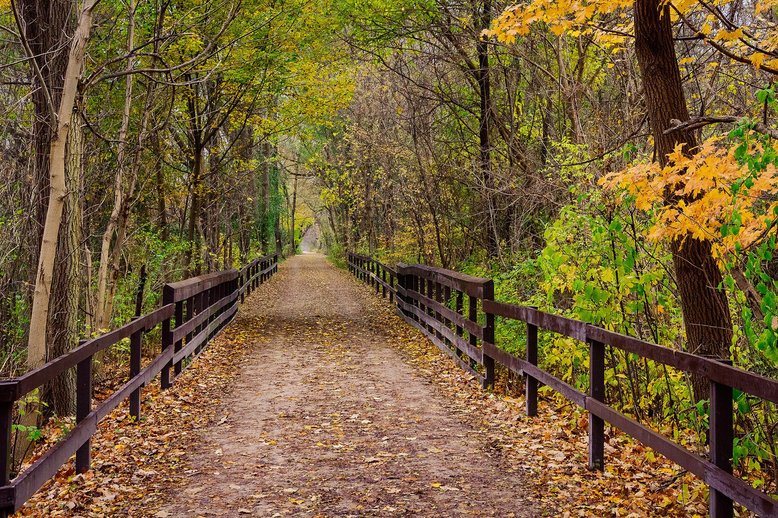 Paint Creek Trail, Orion Township. Photo by Doug Coombe