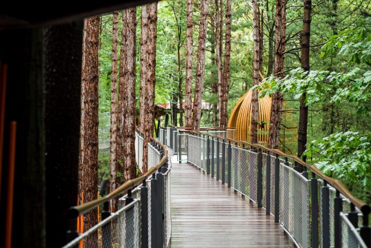 The canopy walk inside the Whiting Forest of Dow Gardens in Midland is just over ¼-mile long and is ADA accessible.