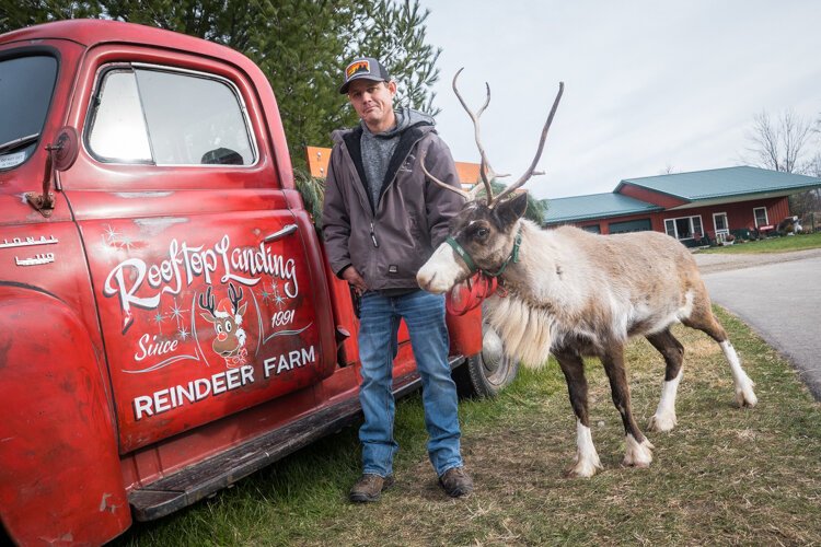Danny Aldrich, owner of Rooftop Landing Reindeer Farm, poses for a portrait with Noel, one of the farm's reindeer.