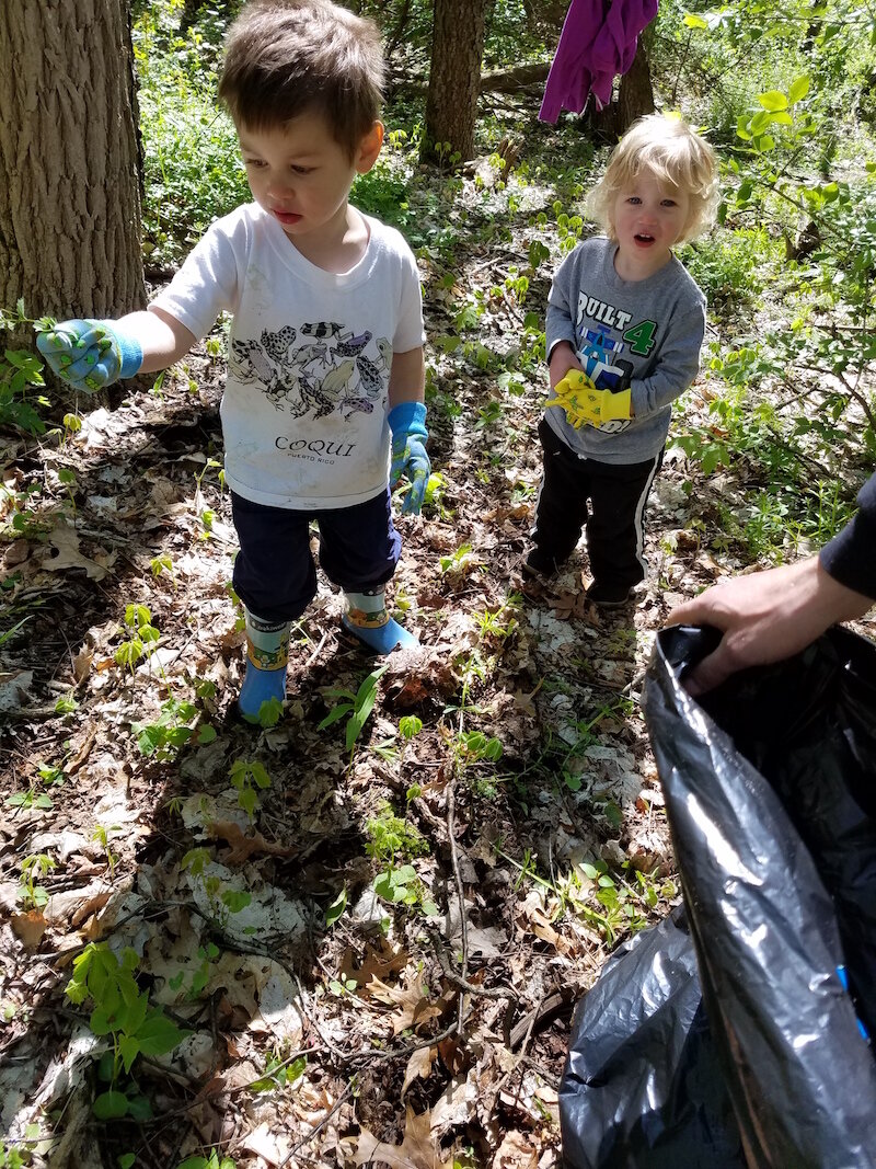 Youngsters pull garlic at a Southwest Michigan Land Conservancy preserve.