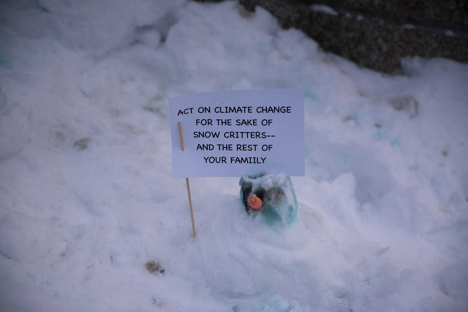 Activists used signs to convey various messages on the urgency of climate action to the public.