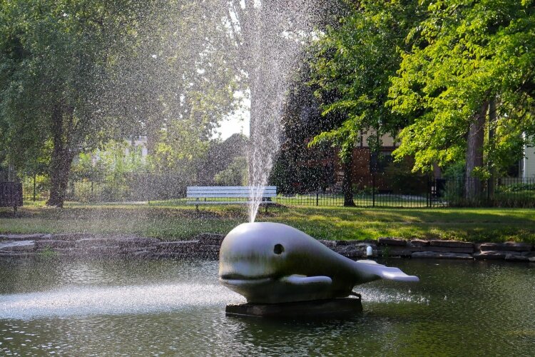 The Carroll Park fountains delight kids and waterfowl alike.