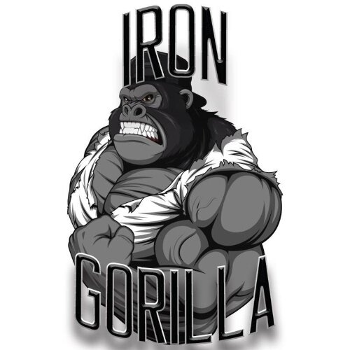 Iron Gorilla gym focuses on building both fitness and family