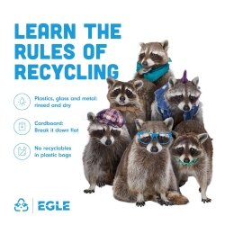 Recycling raccoons list