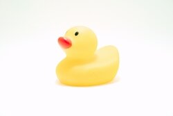 Rubber duck list image