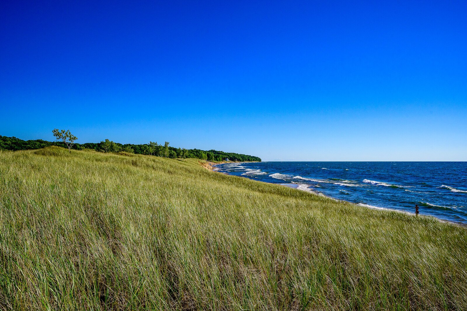 Saugatuck-Harbor