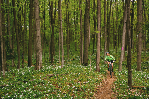 Mt. Biking (Arcadia Bluffs)