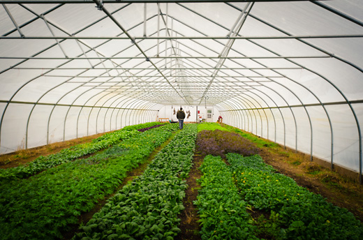 Jeremy Moghtader at Tilian Farm Development Center