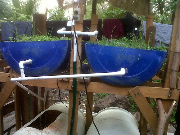 The early barrel version of the Oasis Aquaponics system