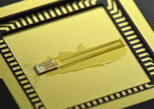 Implantable Radio Device