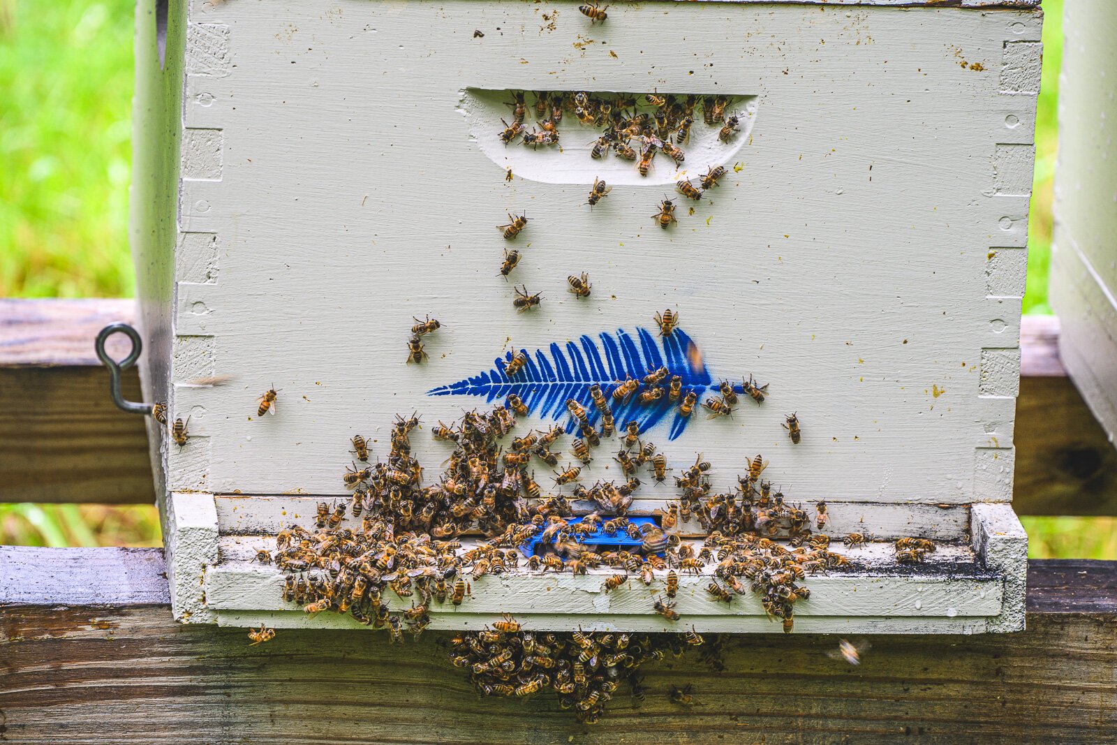 A beehive at Conant Farm in Salem Township.