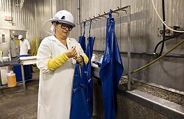 Michigan Turkey Producers employee Blanca Chaidez wears Taza Aya’s worker wearable protection equipment as she prepares for her work shift.