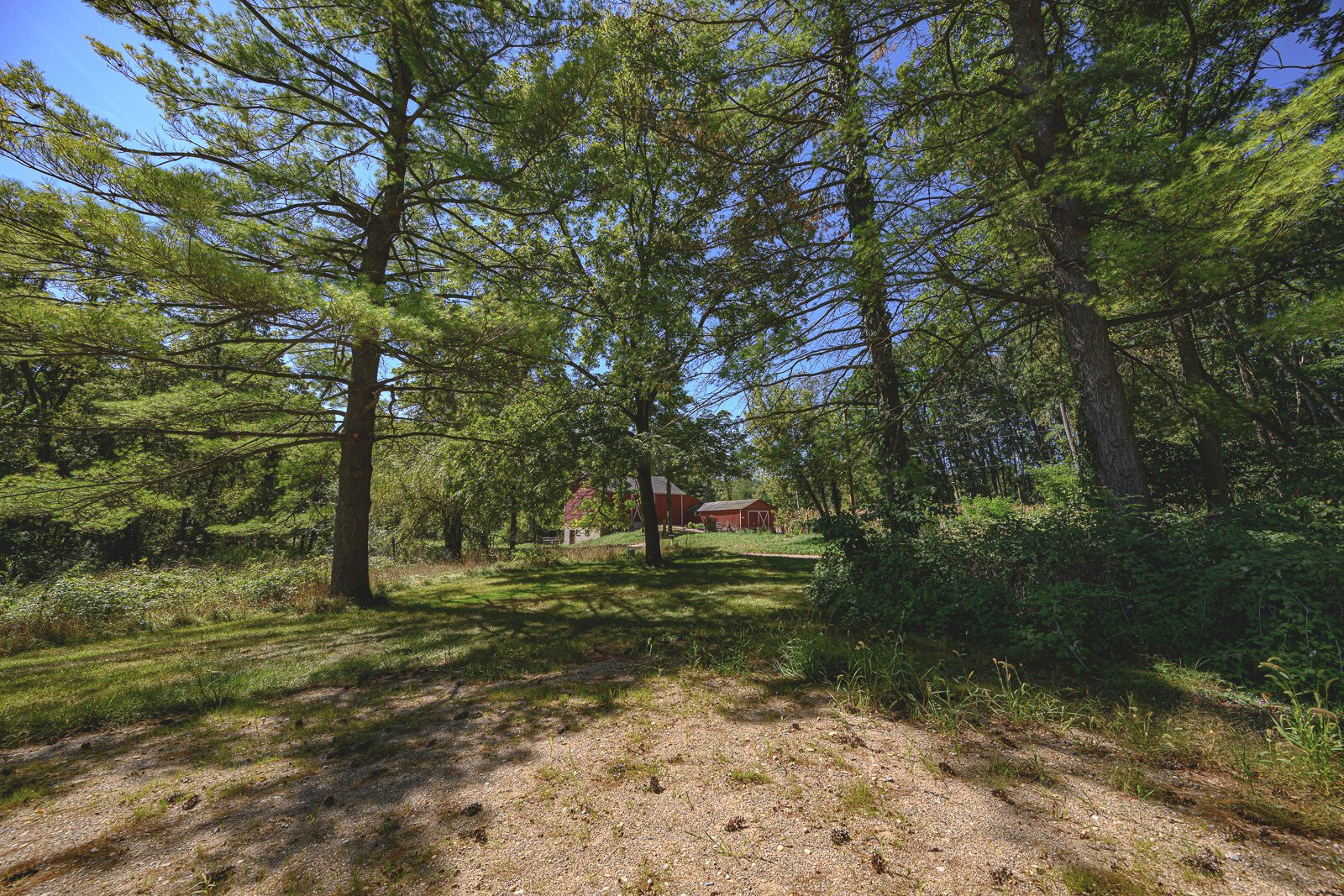 Iron Creek Preserve in Manchester Township.