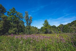 Iron Creek Preserve in Manchester Township.