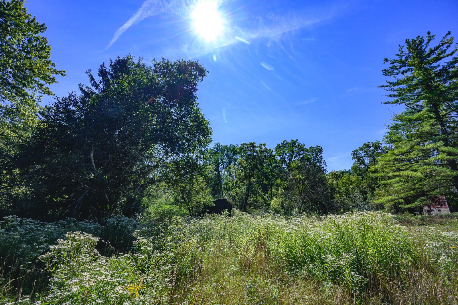 Iron Creek Preserve in Manchester Township.