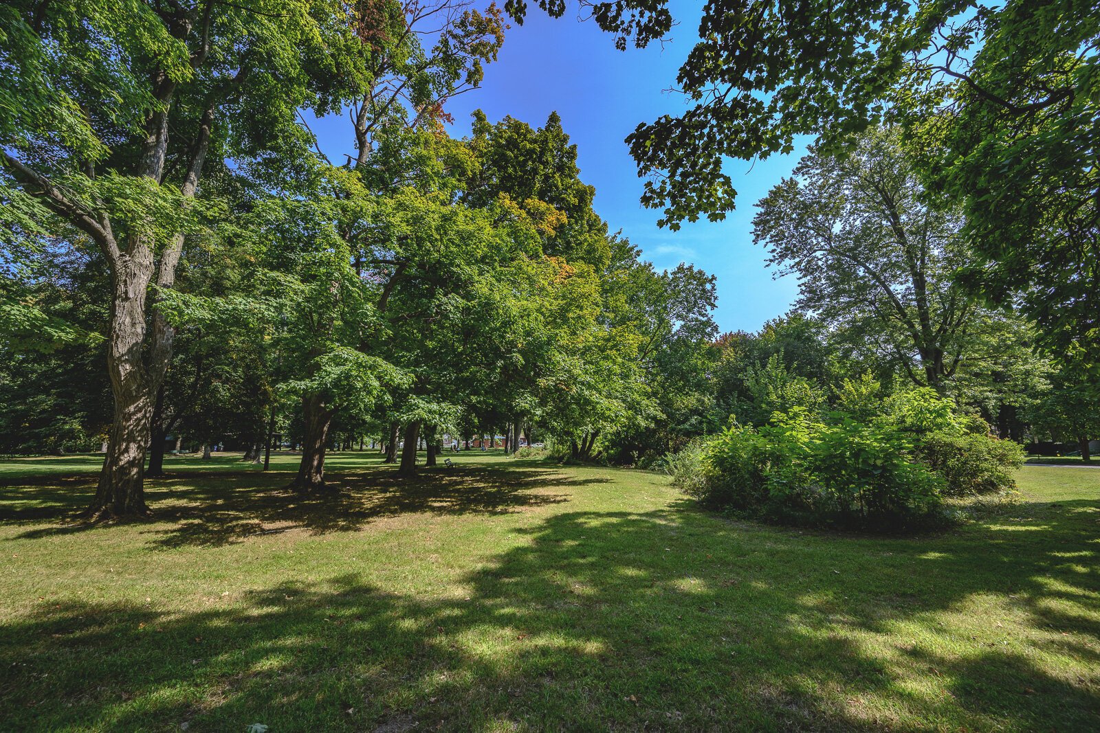 The former Luna Lake location in Ypsilanti's Prospect Park.