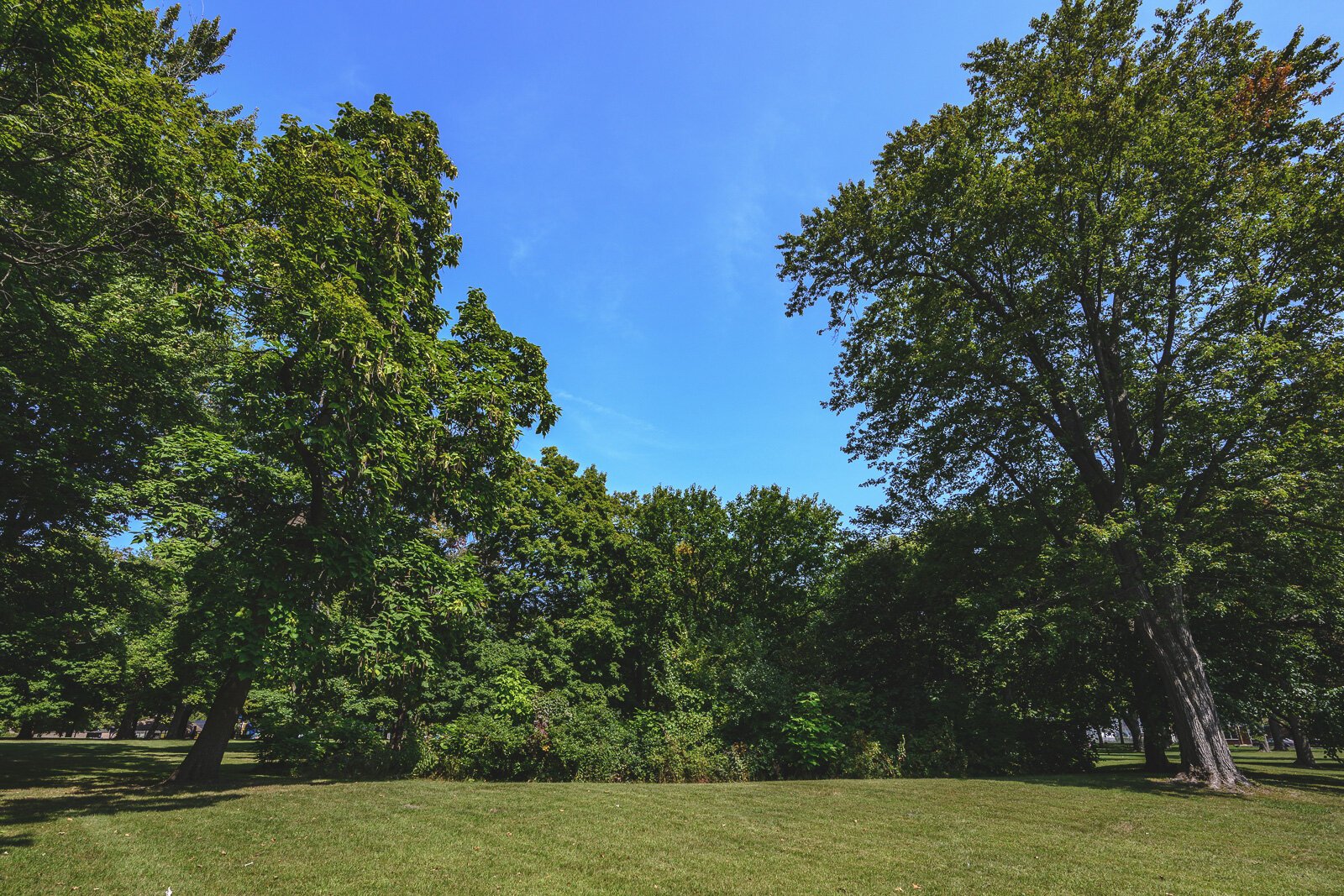 The former Luna Lake location in Ypsilanti's Prospect Park.