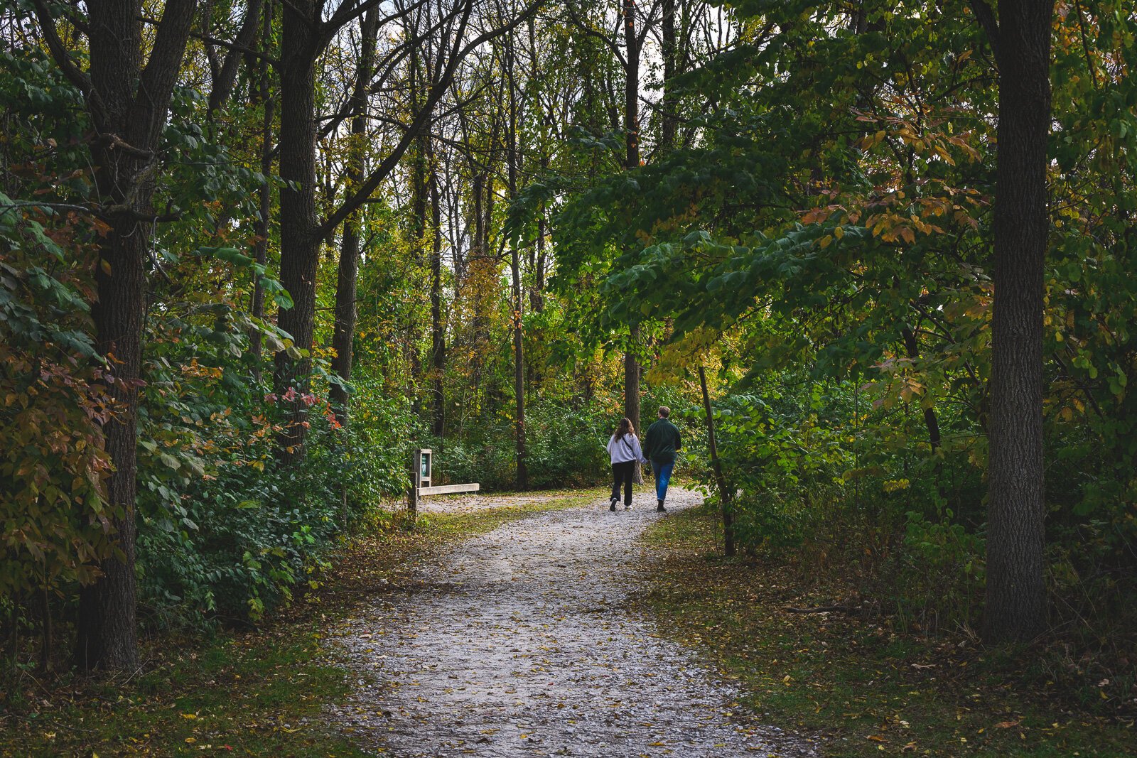 County Farm Park.