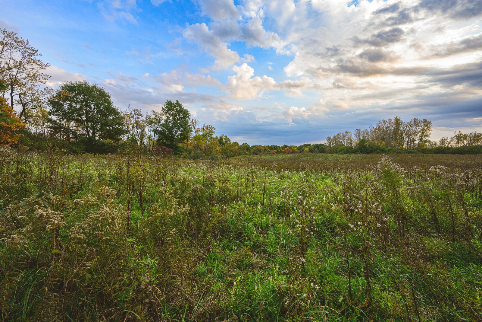 Kosch Headwaters Preserve.