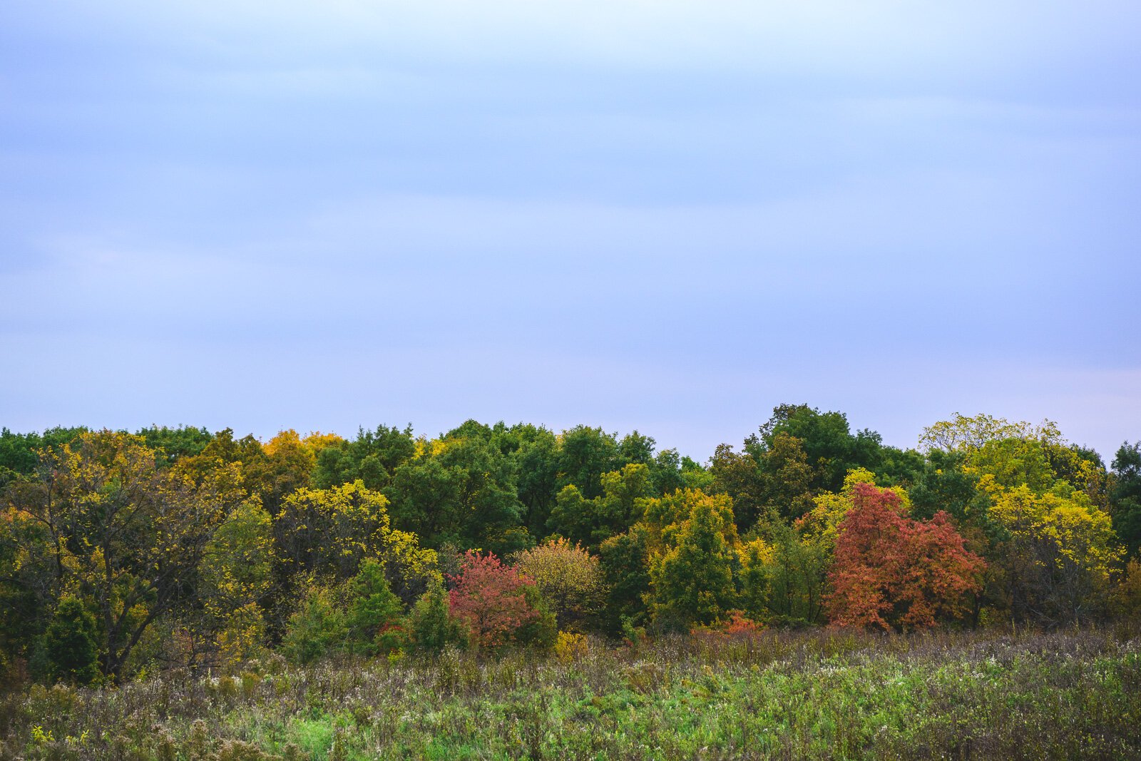 Kosch Headwaters Preserve.