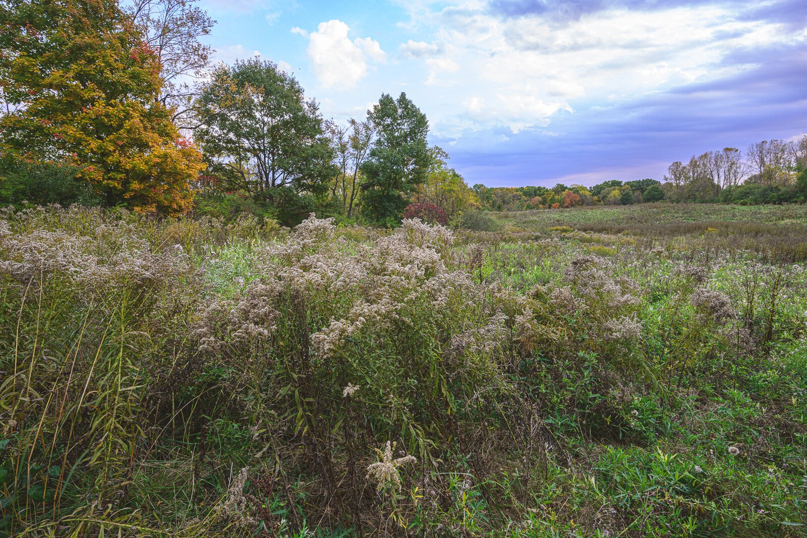 Kosch Headwaters Preserve.