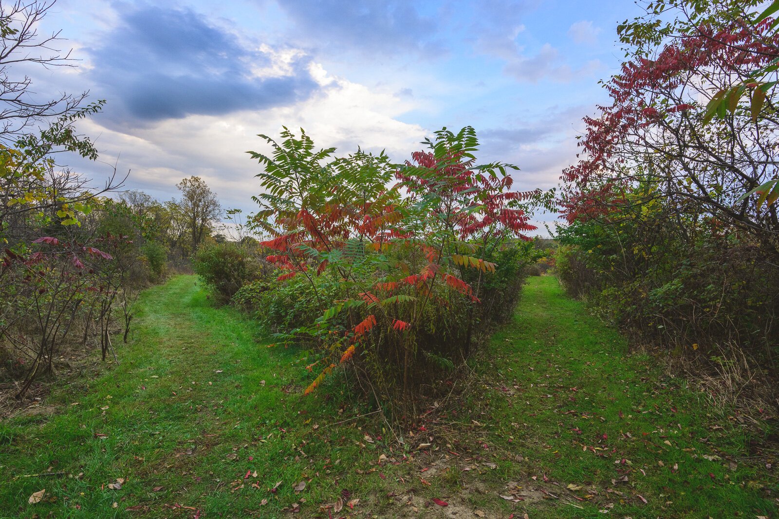 Kosch Headwaters Preserve.