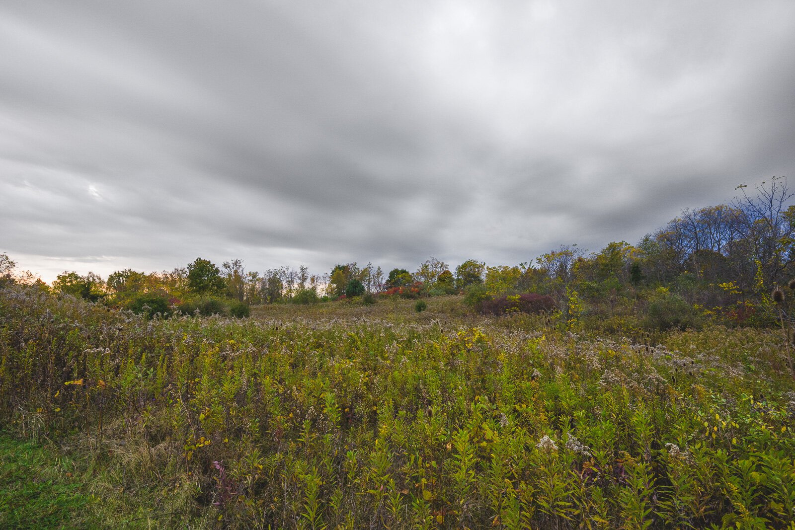 Kosch Headwaters Preserve.