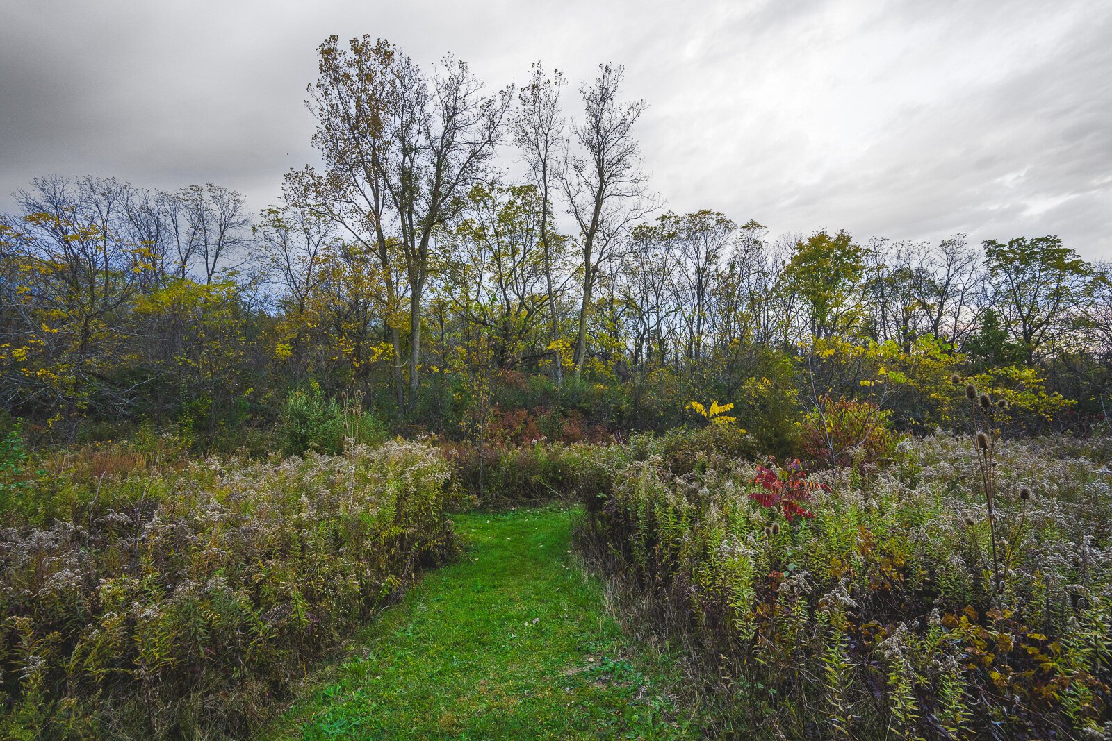 Kosch Headwaters Preserve.