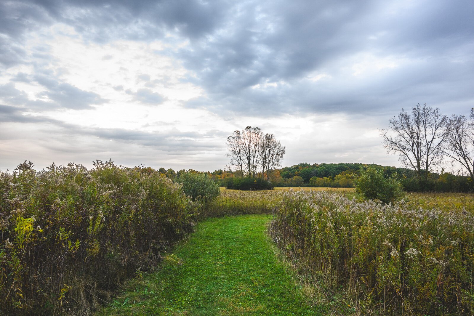 Kosch Headwaters Preserve.