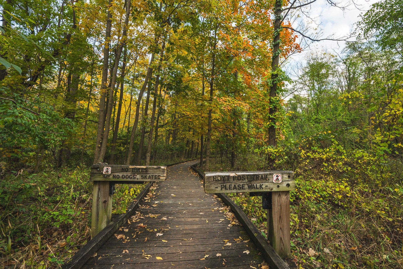 Parker Mill County Park.