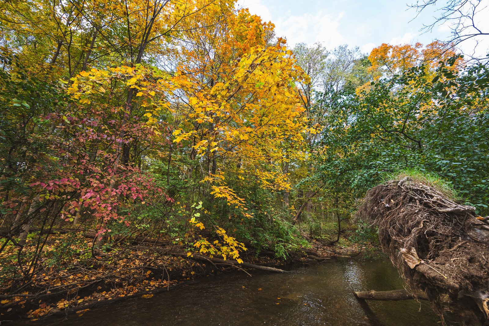 Parker Mill County Park.