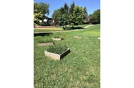 Plantings on a formerly vacant lot in Flint.