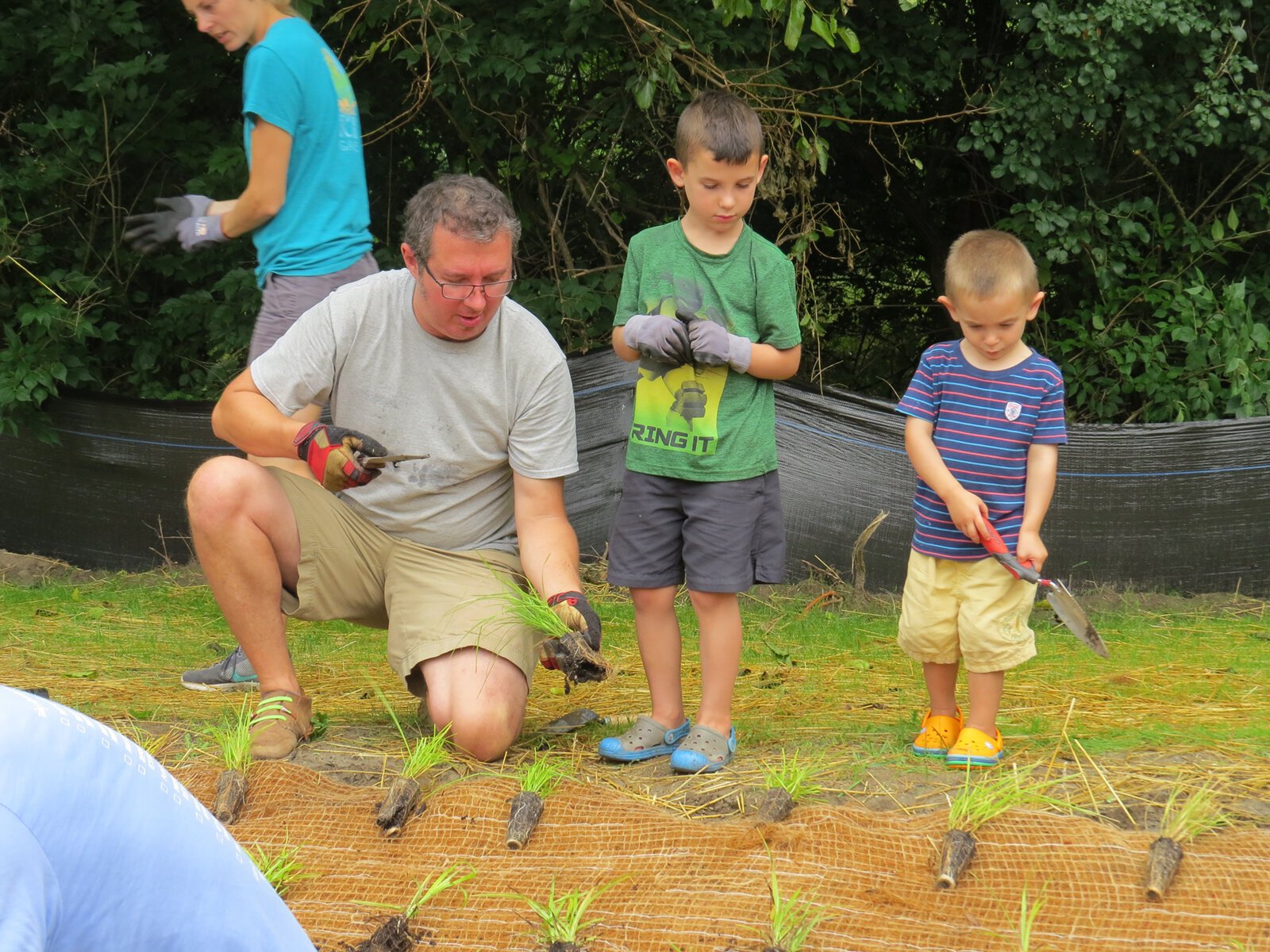 People work on a rain garden.