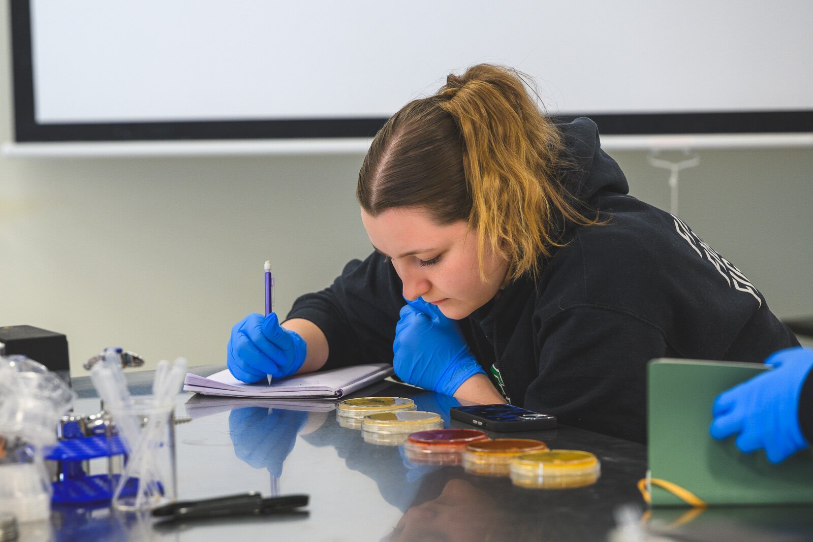 Taylor Heckaman's Introduction to Fermentation Science Laboratory class at Eastern Michigan University.