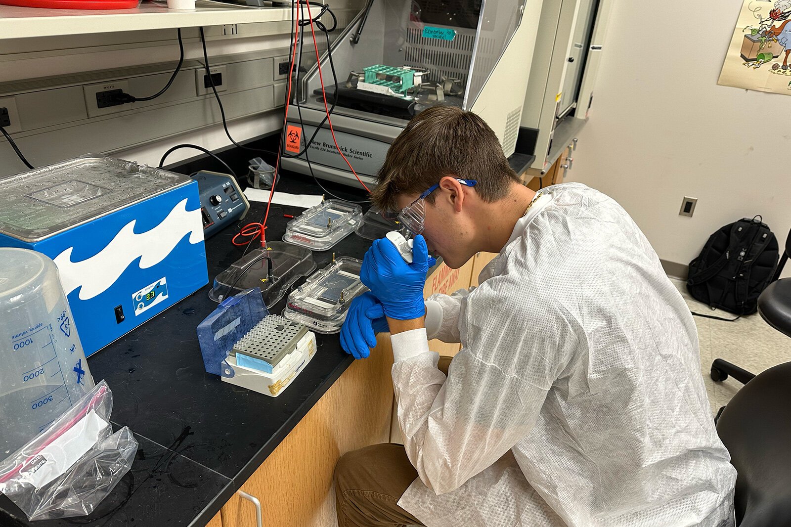 A University of Michigan Synthetic Biology Team member working in the lab.