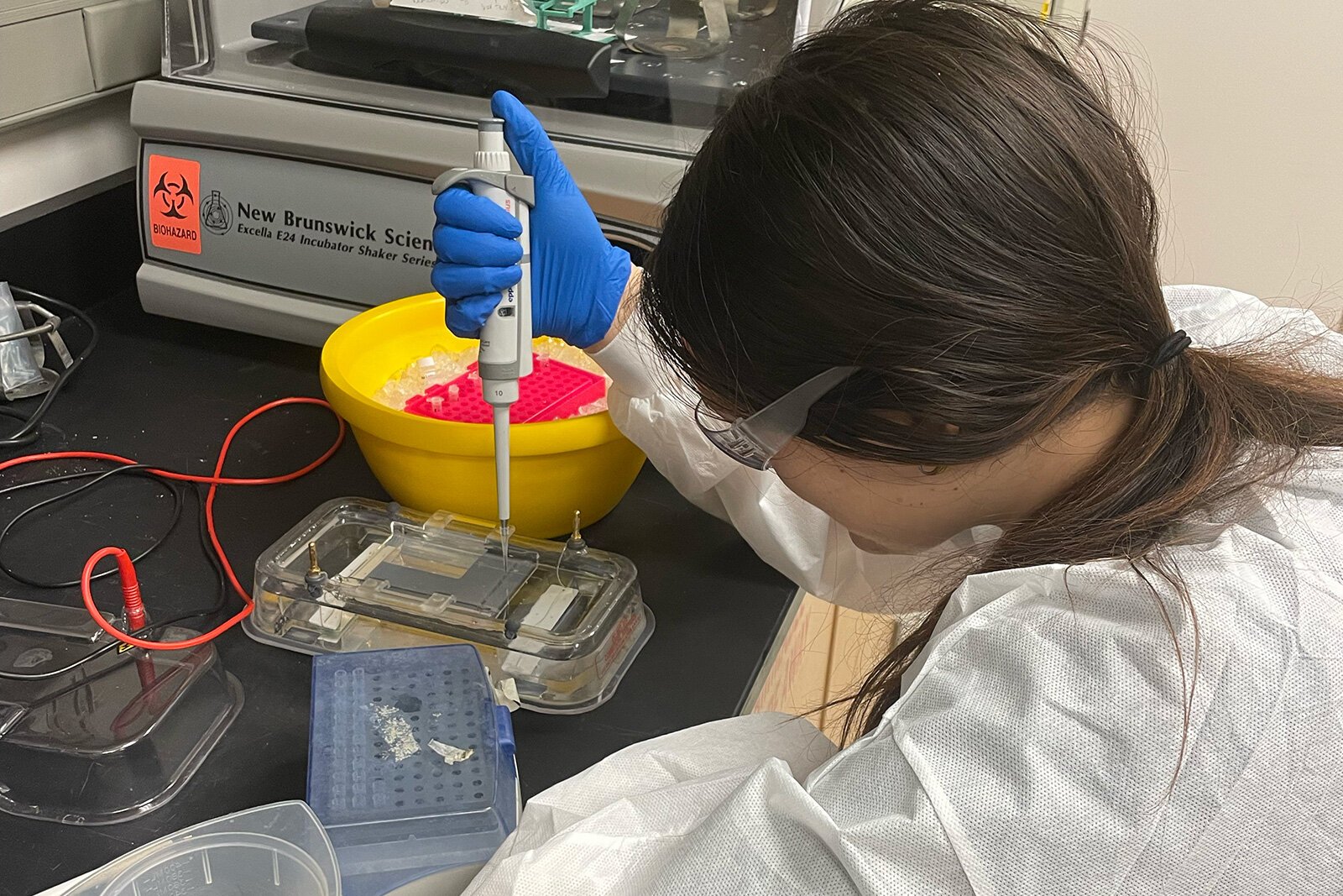 A University of Michigan Synthetic Biology Team member working in the lab.