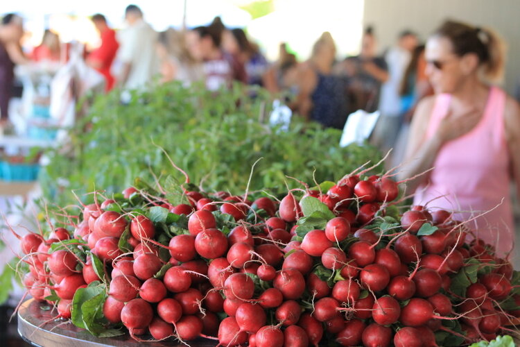 The Mt. Pleasant Farmers Market is doing its part to combat hunger by making fresh, local produce accessible through the acceptance of food assistance benefits.