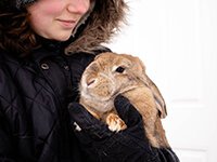 HopeWell Ranch Bunny