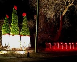 Holiday Lights List