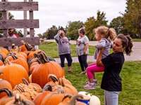 Papa Mike’s Pumpkin Patch