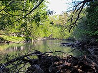 Szok Riverbend Preserve