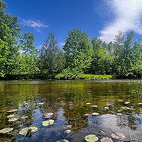 Chippewa River, Spring May 2023