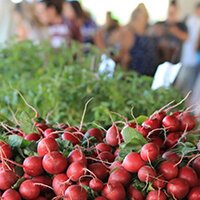 Mt. Pleasant Farmers' Market