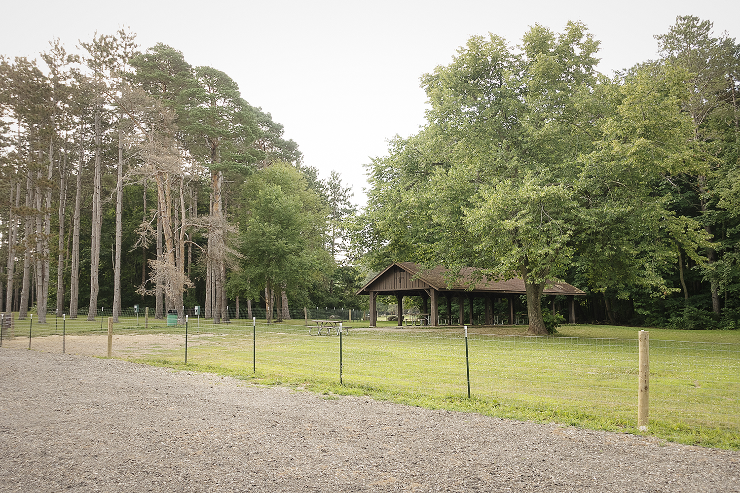 Flushing, MI - Monday, July 16, 2018: The fenced-in, off-leash dog area at the Flushing County Park.