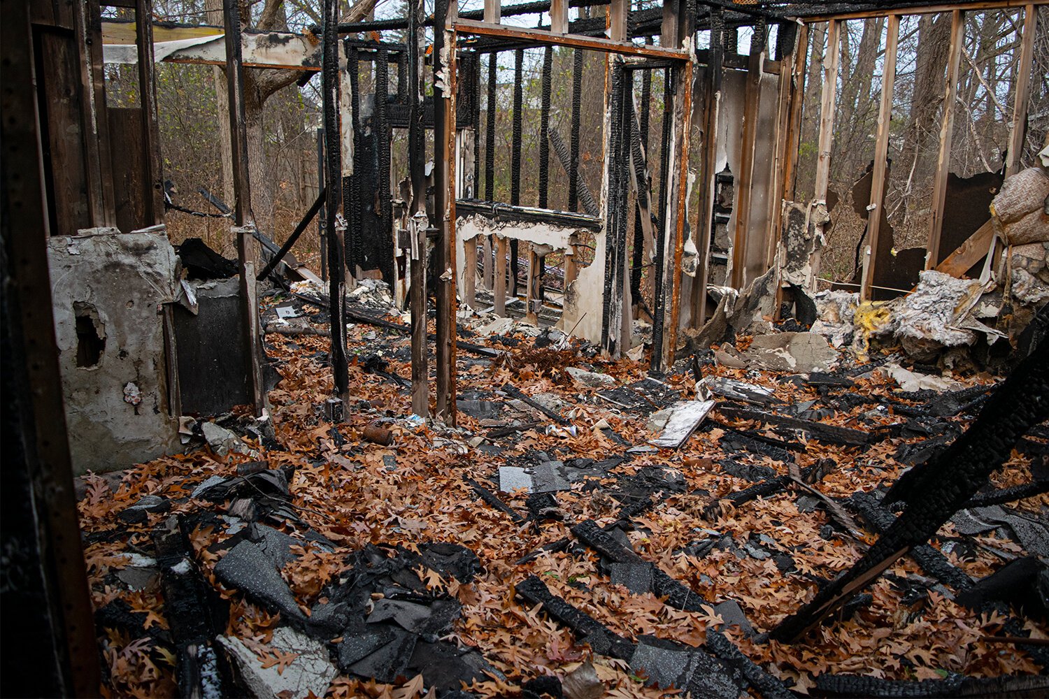 2114 W Home is completely gutted. Structural beams are the only remnants of a house that once was. The lack of a roof has made what was once a dining room and living room into an extension of the wooded area that has made its way into the house. 