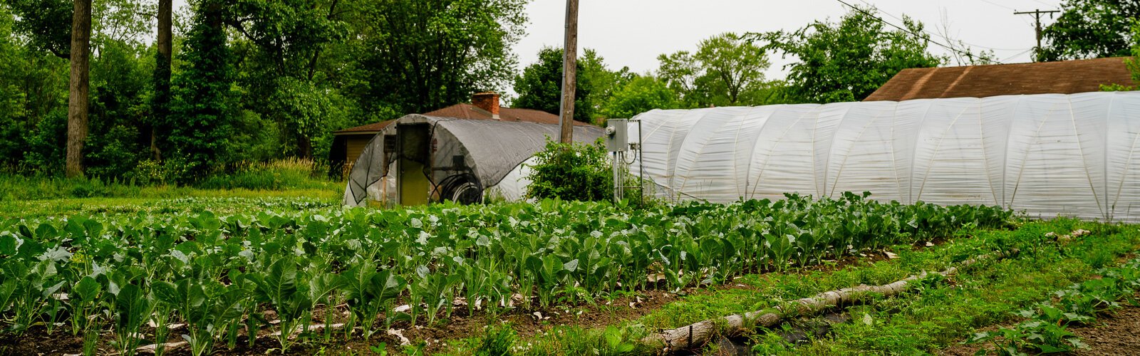 Old City Acres farm in Belleville.