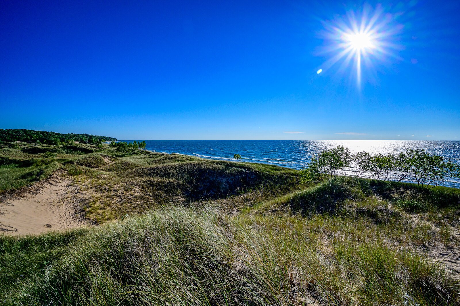 Saugatuck Harbor Natural Area. Photo by Doug Coombe.