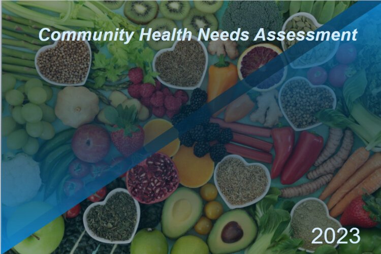 Healthy Ottawa released its Community Health Needs Assessment in 2023. A new report based on that assessment suggests the county's top three health priorities should be mental health, housing, and access to care.