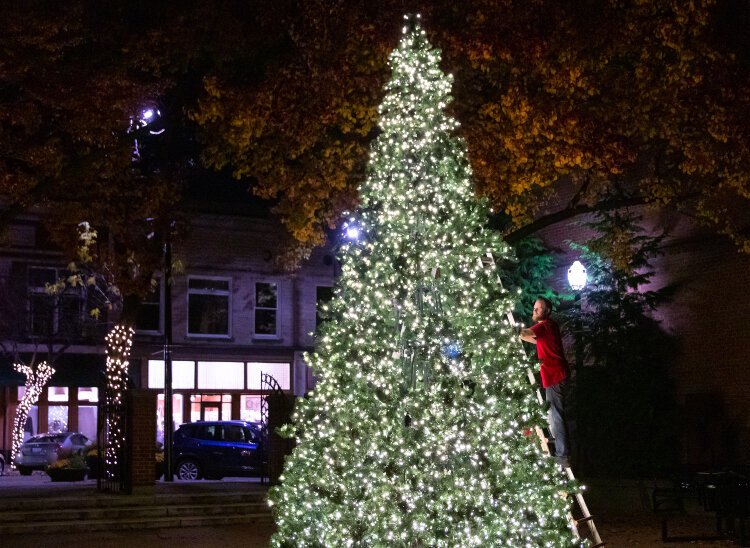 City officials worked with the crowdsourcing platform Patronicity to purchase and install a 20-foot Christmas tree in a downtown Holland park. (City of Holland)