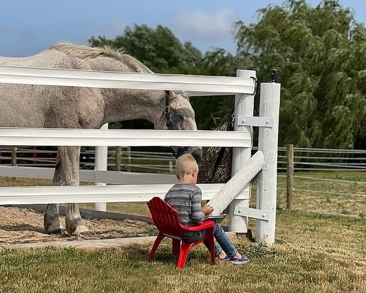 Renew Theraputic Riding Center will use a Community Foundation of the Holland/Zeeland Area grant to fund the expansion of the Renew Equine Assisted Learning programs (REAL) to serve veterans, first responders, and children in foster care. 